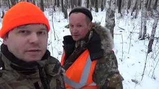 Загон на лося косули в загоне. Загон глазами загонщиков