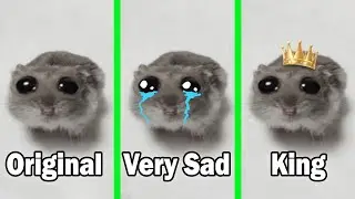 Sad Hamster All Versions