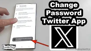 Easy Tutorial: How to Change Your Password on Twitter App