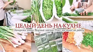 БОЛЬШАЯ ЗАМОРОЗКА ЗЕЛЕНИ С ГРЯДОК / ЦЕЛЫЙ ДЕНЬ НА КУХНЕ 🥬😍