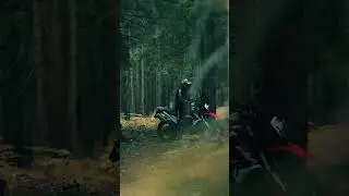 Lonely through the Woods 🌲🌲 #shorts #motorcycle