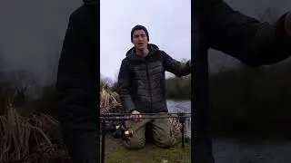 Tight or Slack Lines for Carp Fishing?