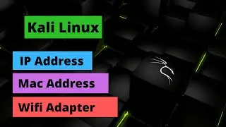 IP Address, Mac Address and Wifi Adapter | Linux | Beginner guide