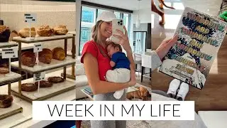 WEEK IN MY LIFE | fridge RESTOCK, first family outing, & book reviews