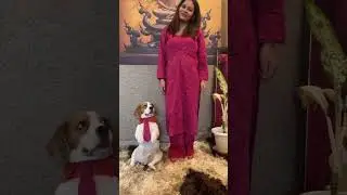 Mini dog vlog 2 