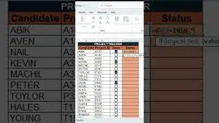 Excel Checkbox Tutorial For Task Completion in Less Than 5 Mins