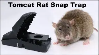 The Tomcat Rat Snap Trap & A Bobcat. Mousetrap Monday