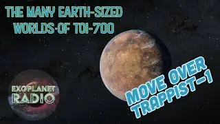 The Many Earth-sized Worlds of TOI-700 | Exoplanet Radio ep 30