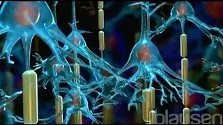 ADHD Animation