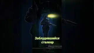 S.T.A.L.K.E.R - Заблудившийся сталкер. Рассказчик Сидорович.