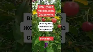 Вам нужно жениться на Скорпионе, если вы...