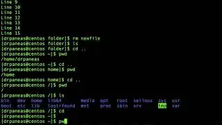 Create, Copy, Rename, Move, Delete files and folders in Linux terminal