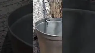 Ultimate water survival Hack!