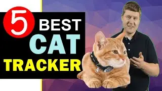 Best Cat Tracker 2024 🏆 Top 5 Best Cat Tracker Reviews