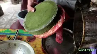 Сок  из крапивы.Полезные свойства.