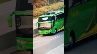 Si Hijau PUSPA JAYA Wonosari - Lampung