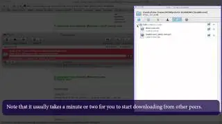 Torrent Basics - All About Torrents