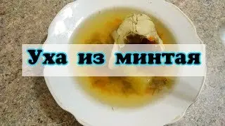 УХА из МИНТАЯ/Лёгкие рецепты 🌺