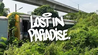 LOST IN PARADISE