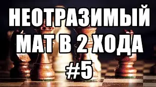 Шахматные задачи мат в 2 хода. Выпуск №5. Задачи c изюминкой. Решение задач. Шахматные заметки.