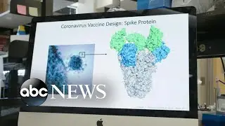 Home researchers working furiously to learn how a vaccine for the coronavirus works | ABC News Prime