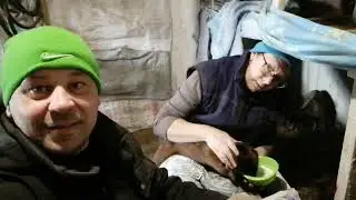 Родились козлята нубийцы, так что они ждут Вас