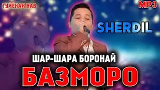 Шердил -  Шар Шара Боронай (Базморо 2020)