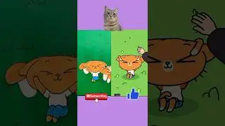 Прятки Симбы 🐱 