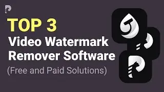 Three Best Video Watermark Remover Software (Free and Paid Solutions)