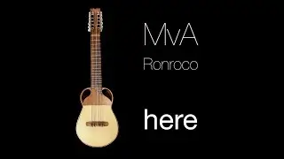 MvA - here (Ronroco - baritone charango)