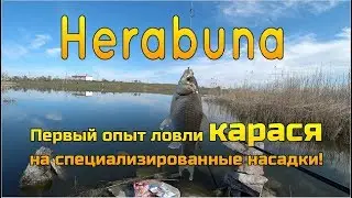 ✅Карась на тесто! Рыбалка в стиле ХЕРАБУНА!