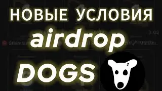 УСПЕЙ СДЕЛАТЬ ЭТО ДО AIRDROP DOGS, КОГДА ЛИСТИНГ DOGS, УСЛОВИЯ ДРОП ДОГС СКОЛЬКО СТОИТ DOGS НА БИРЖЕ