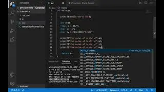 How to print output and use different data formats using printf() function