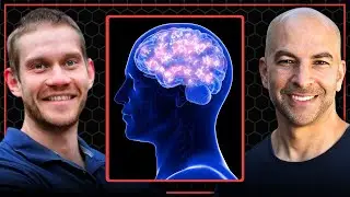 How to mitigate cognitive decline in middle age | Peter Attia and Tommy Wood