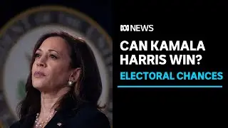 Can Kamala Harris win the US election? | ABC News