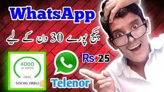 telenor monthly WhatsApp package 2022?Telenor whatsapp package?telenor whatsapp package monthly2022