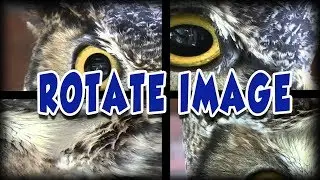 How To Rotate An Image In Photoshop