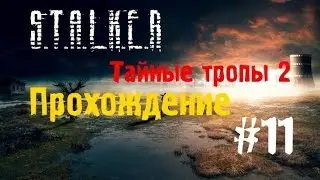 Сталкер Тайные Тропы 2 #11 [Фанат и Левша]