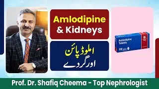 Amlodipine & Kidneys