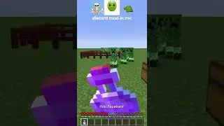 discord mod in minecraft 🤮🤮