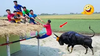 Must Watch Special Comedy Video 😎Totally Amazing Comedy Episode 37 by @mamafunltd
