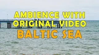 Baltic Sea Relaxing Ambience Sounds with Live video