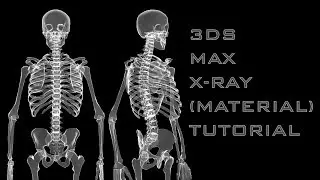 X Ray material making and Rendering Tutorial In 3DS Max | DigitalKnowledge