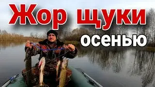 БЕЗУМНЫЕ ПОКЛЕВКИ ЩУК НА ДИКОМ ВОДОЕМЕ. Рыбалка на спиннинг