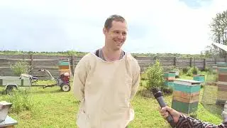 так вот она какая, среднерусская пчела...