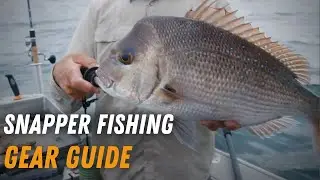 Snapper Fishing Gear Guide | Fishing Rods, Reels, Tips & Techniques | Anaconda Stores