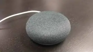 Google Home Mini Volume Controls