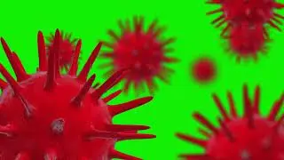 COVID-19 or coronavirus 2019 Corona Virus Red In Green Screen Loop Animation