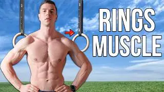 The Best Full Body Rings Workout