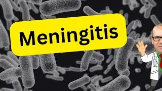 Meningitis and the public health actions that can be taken to prevent it.